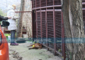 Lovcima dok su bili na sahrani otrovani psi vrijedni više od 20.000 evra  