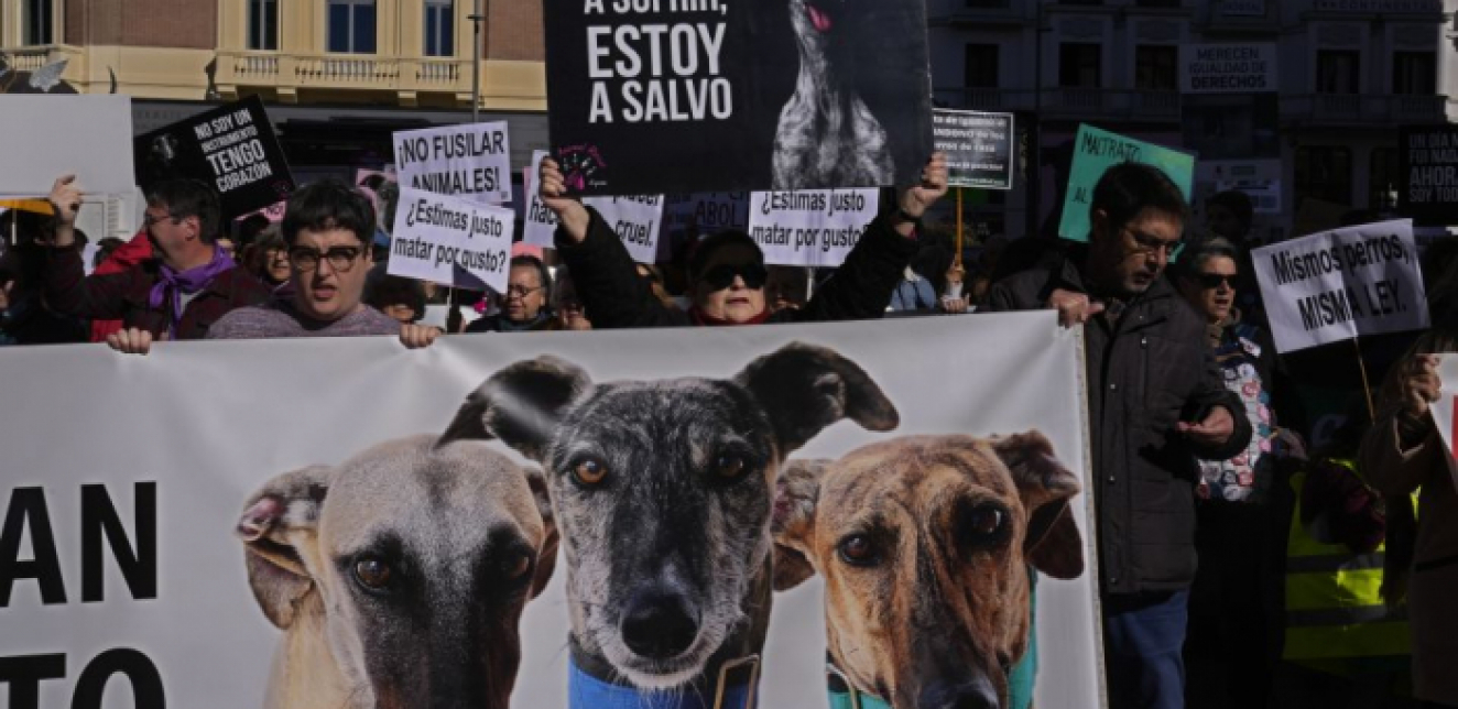 Hiljade ljudi u Madridu tražilo zabranu lova i zaštitu lovačkih pasa