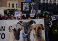 Hiljade ljudi u Madridu tražilo zabranu lova i zaštitu lovačkih pasa
