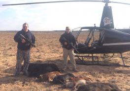 Neobična ponuda za sve ljubitelje lova: Za 3.000 dolara lov na divlje svinje iz helikoptera