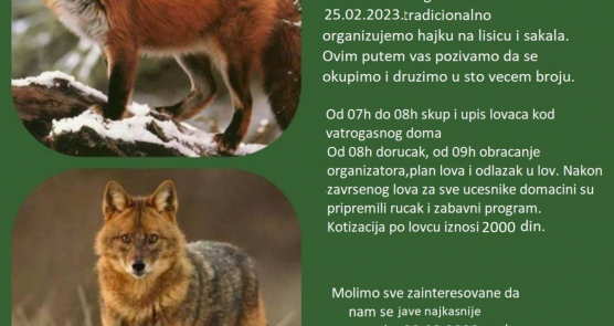 Grupni lov na lisice i šakale u dolovačkom ataru 25. februara