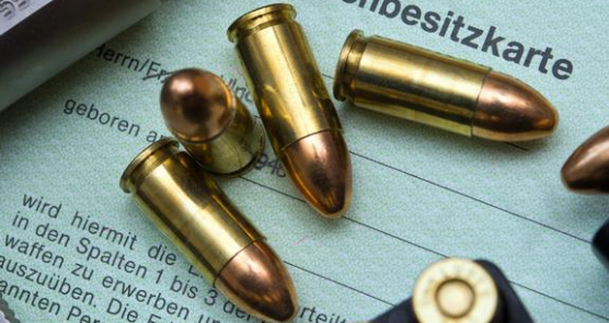 Novi nemački zakon o oružju predvideće psihološki test za vlasnike